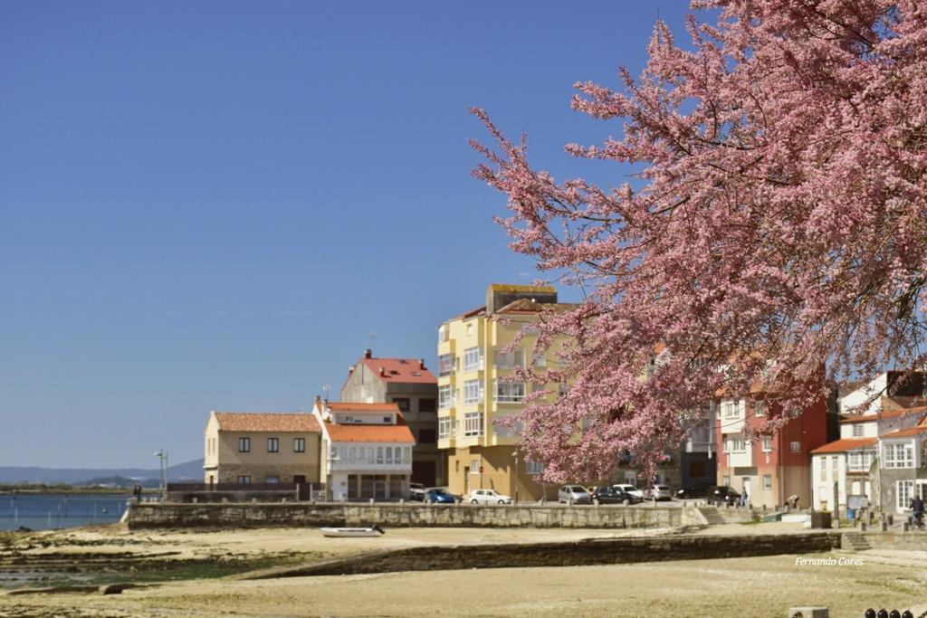 A Esmorga-Posada Del Mar Vilagarcia de Arousa Exterior photo